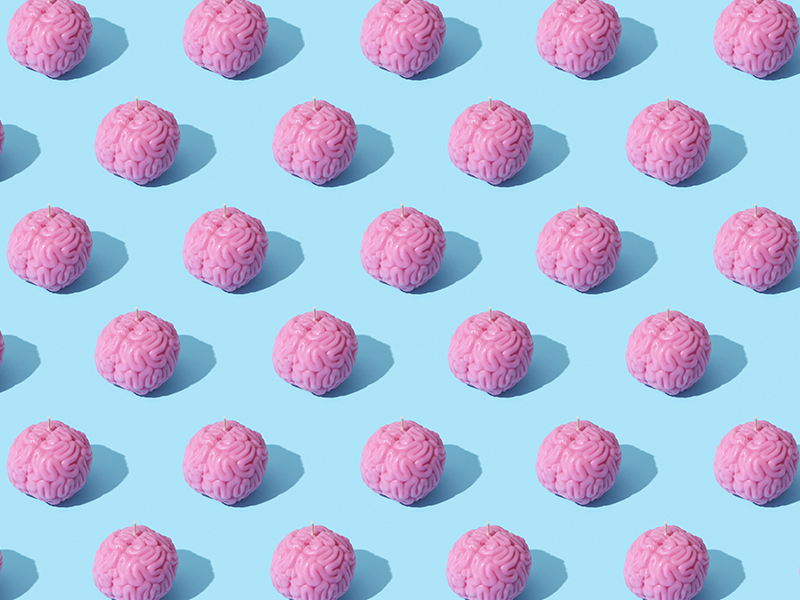 Decorative image of brains to represent metacognition