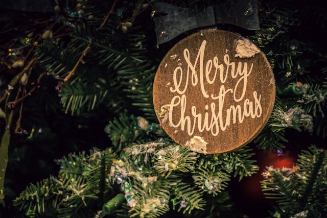 pexels-brett-sayles-1656564 Creative Christmas Learning in Early Years