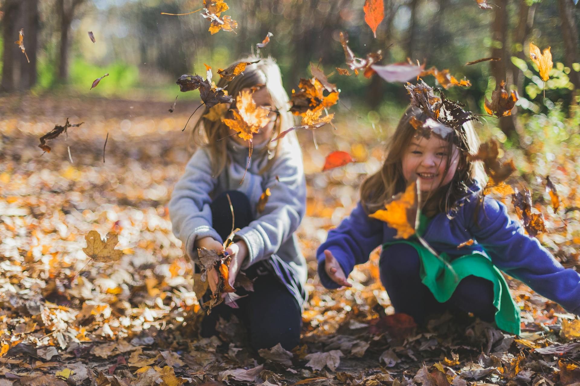 pexels-michael-morse-1582736 Forest School