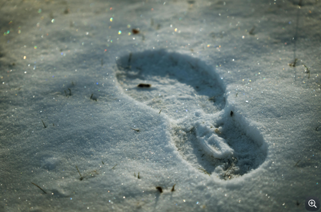 Footprint
