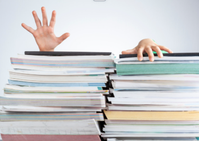 Curriculum review