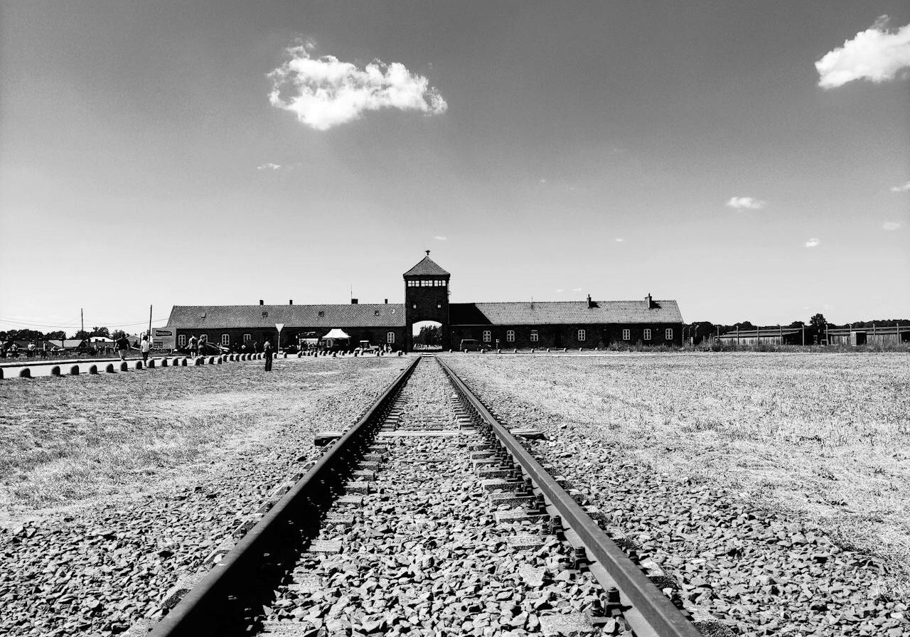 pexels-erika-hierschlaeger-884966590-33676507