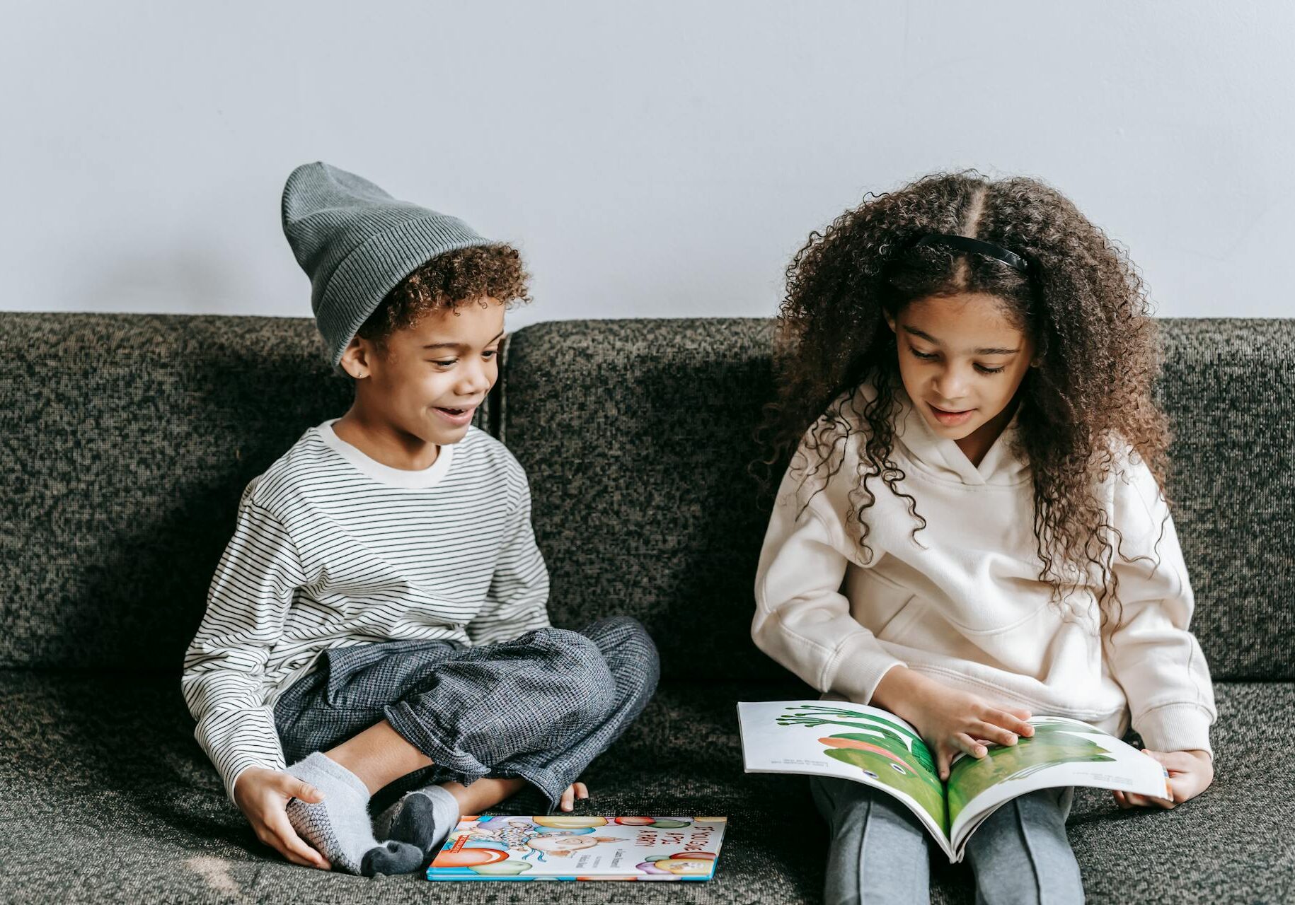 Wordless picture books